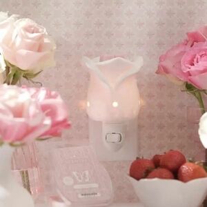 💜-SCENTSY | TEA ROSE PLUG IN